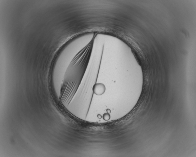 X0000111000160200907101459