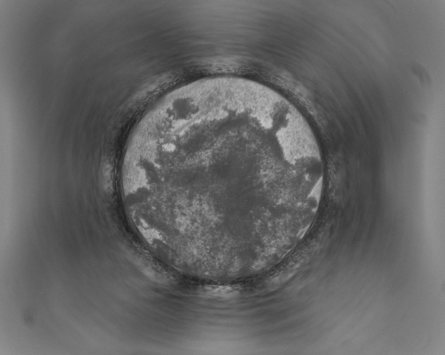 X0000111000161200907101459