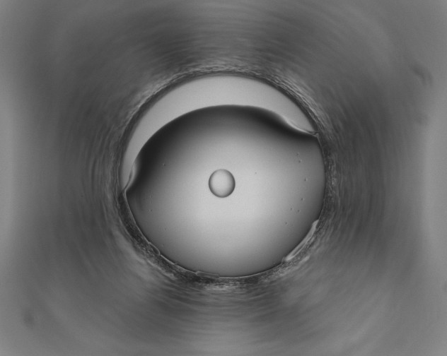 X0000111000164200907101459