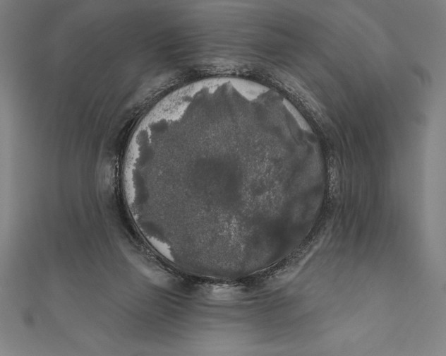 X0000111000165200907101459