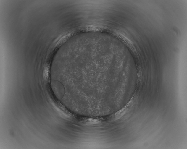 X0000111000166200907101459