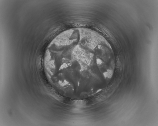 X0000111000169200907101459