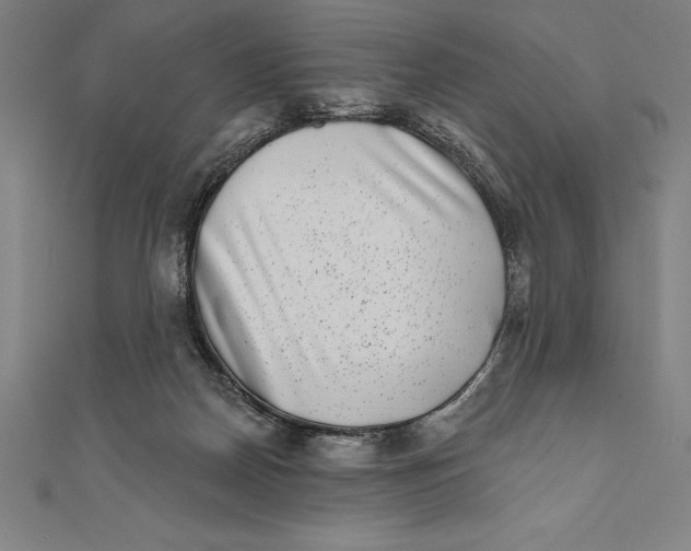 X0000111000170200907101459