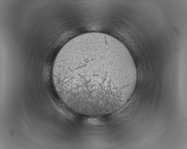 X0000111000171200907101459