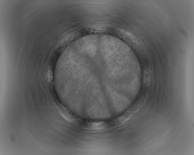 X0000111000173200907101500