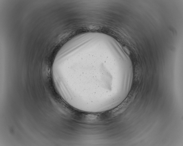 X0000111000176200907101500