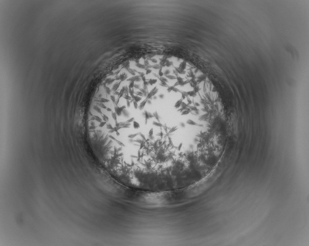 X0000111000178200907101500