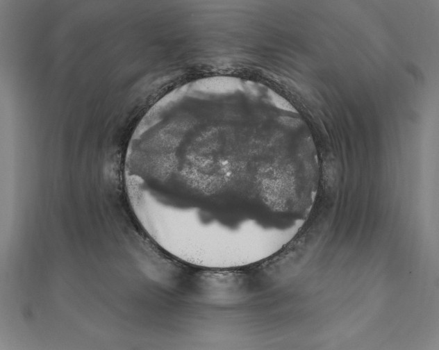 X0000111000181200907101500