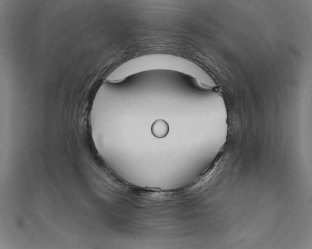 X0000111000184200907101500