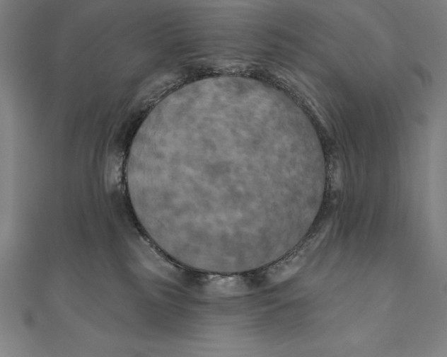 X0000111000185200907101500