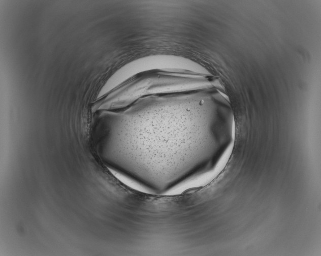 X0000111000186200907101500