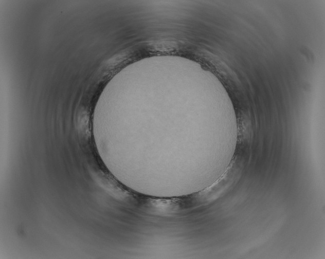 X0000111000187200907101500