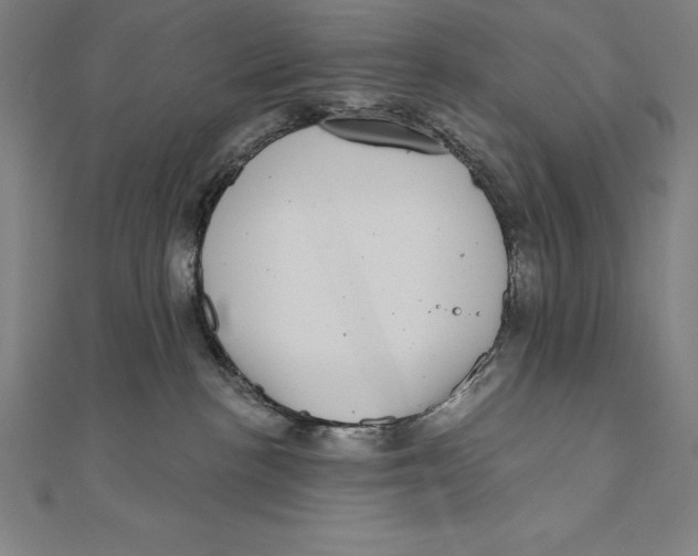 X0000111000188200907101500