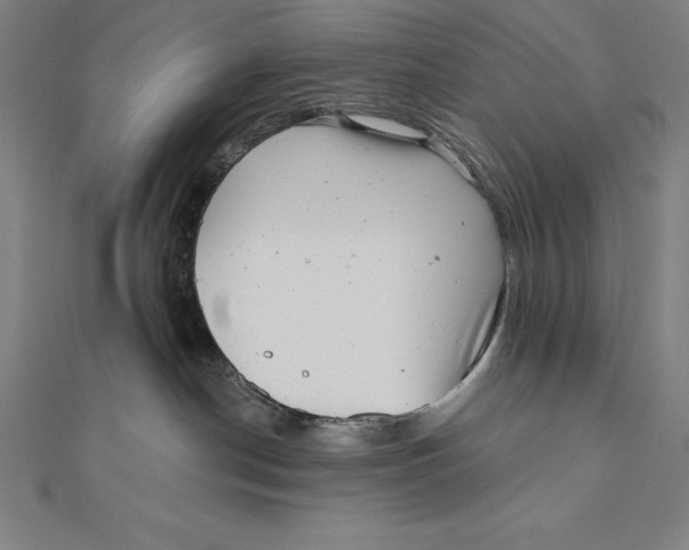 X0000111000190200907101500