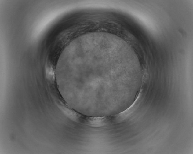 X0000111000191200907101500