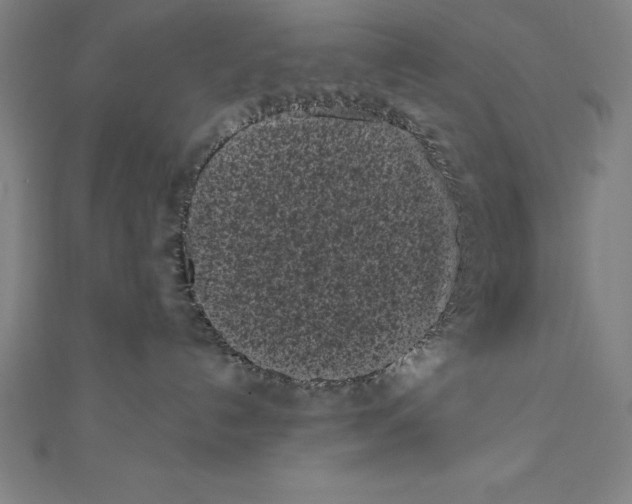 X0000111000192200907101500