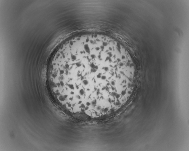 X0000111000194200907101459