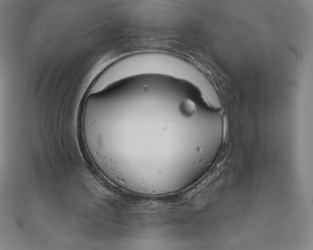 X0000111000195200907101459