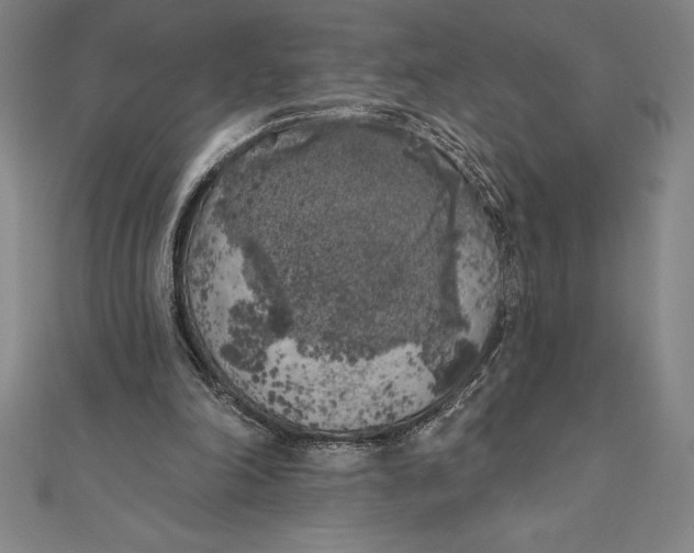 X0000111000198200907101459