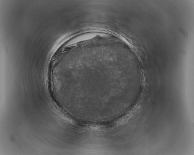 X0000111000199200907101459