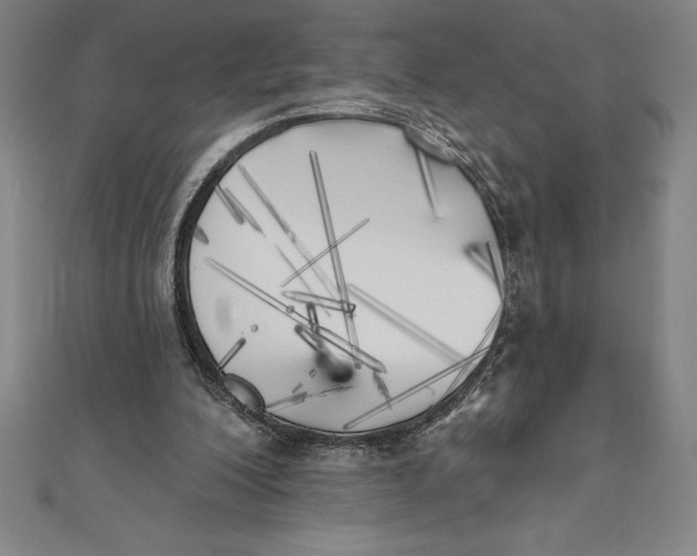 X0000111000200200907101459