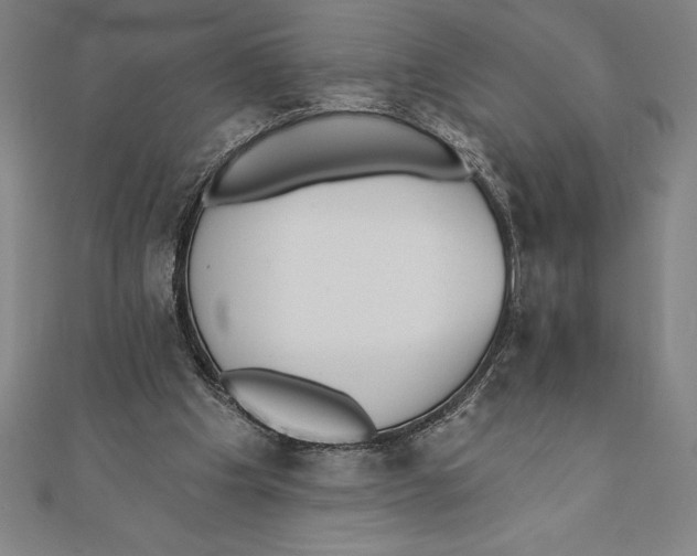 X0000111000201200907101459