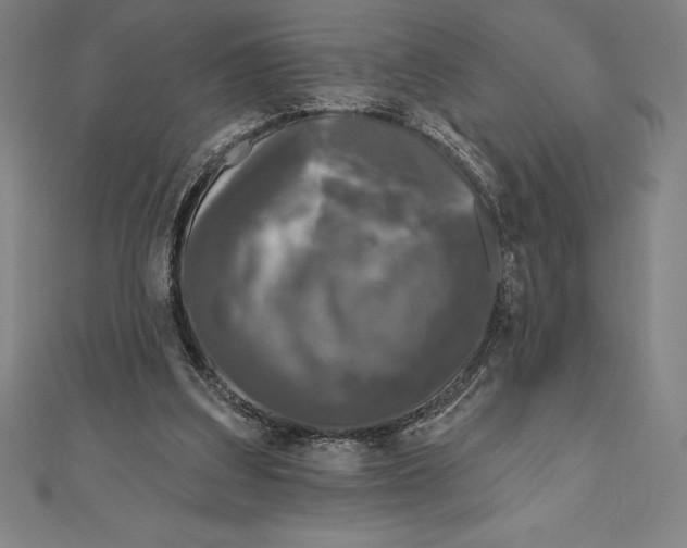 X0000111000203200907101459