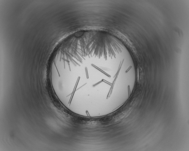 X0000111000204200907101459