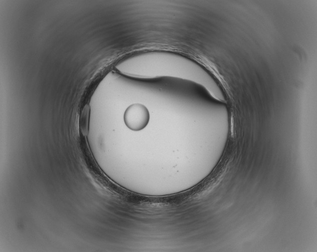 X0000111000205200907101459