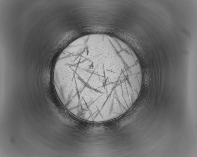 X0000111000206200907101459