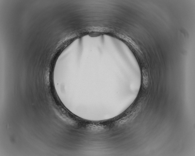 X0000111000207200907101459