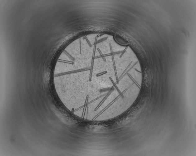 X0000111000208200907101459