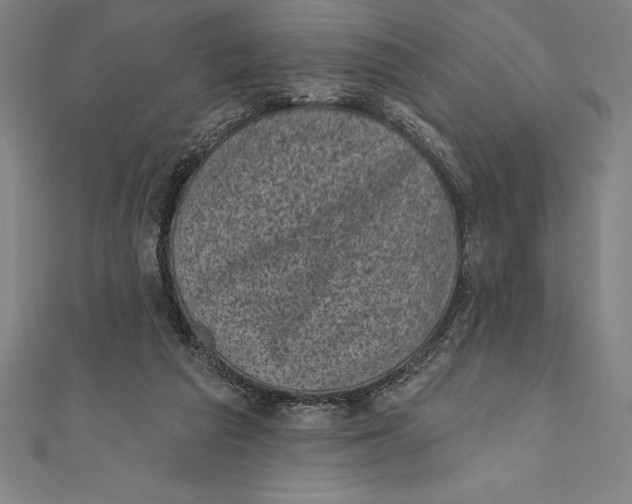 X0000111000209200907101459