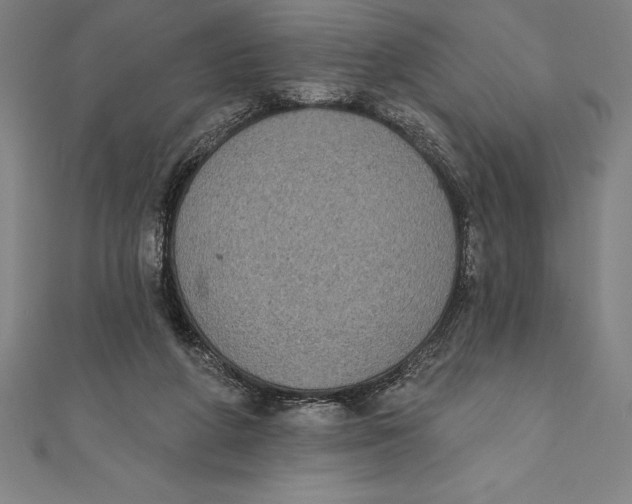 X0000111000210200907101459