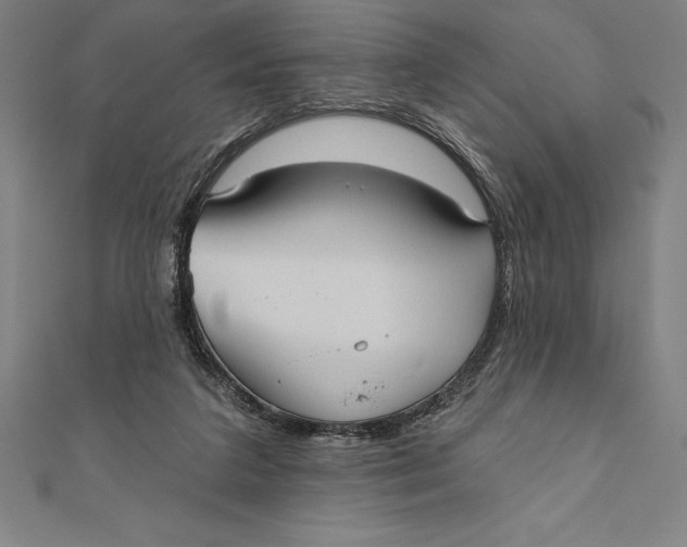 X0000111000211200907101459