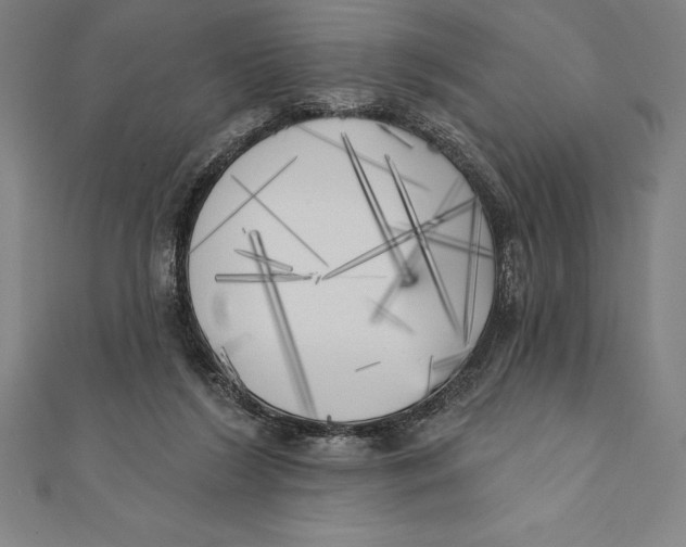 X0000111000212200907101459