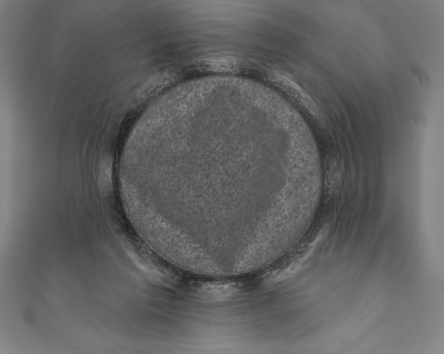 X0000111000213200907101459