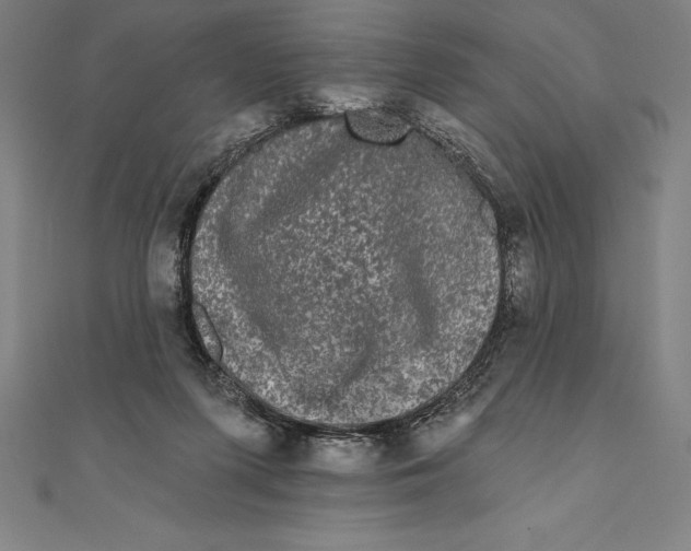 X0000111000215200907101459