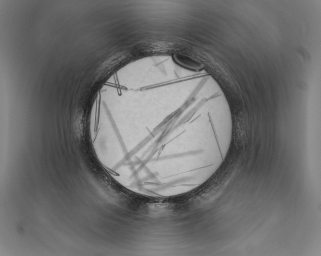 X0000111000216200907101459