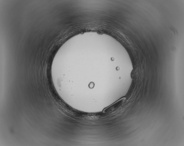 X0000111000217200907101459