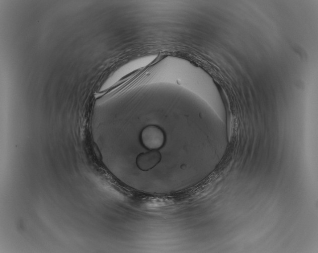 X0000111000223200907101459