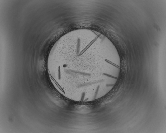 X0000111000224200907101459