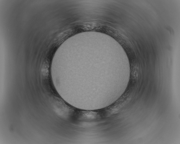 X0000111000226200907101459