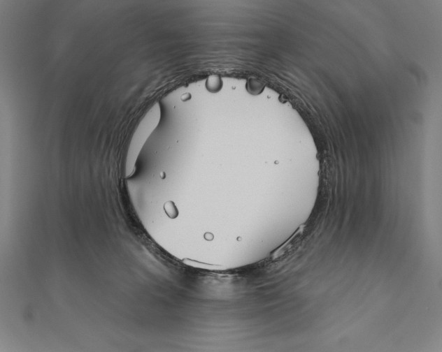 X0000111000227200907101459