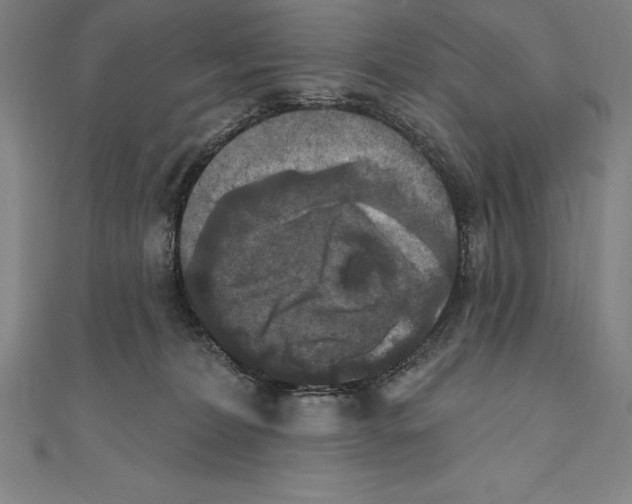 X0000111000228200907101459