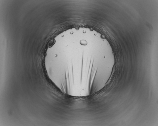 X0000111000229200907101459