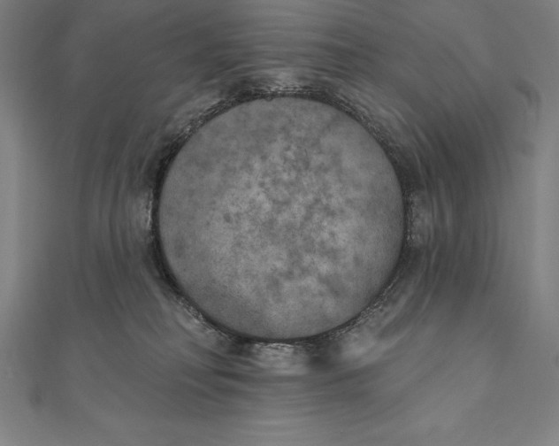 X0000111000230200907101459