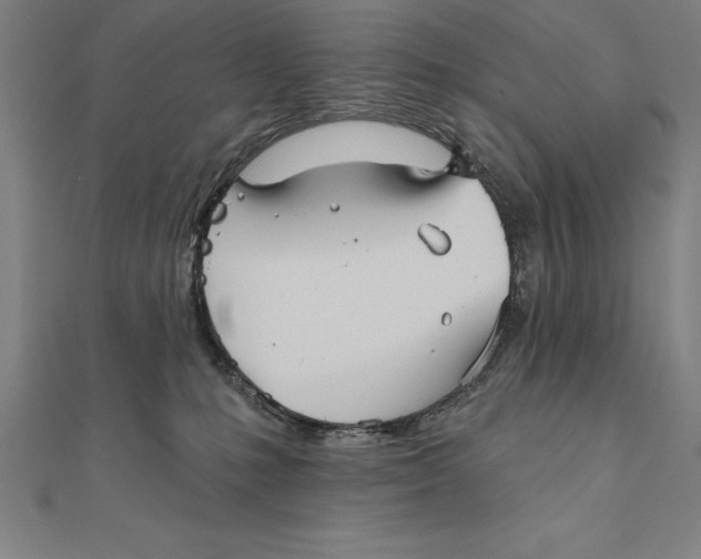 X0000111000231200907101459