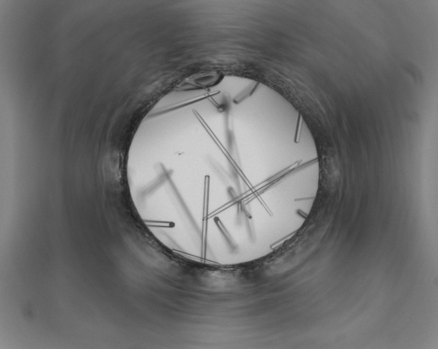 X0000111000232200907101459