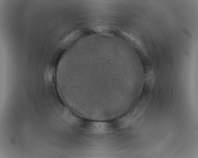 X0000111000233200907101459